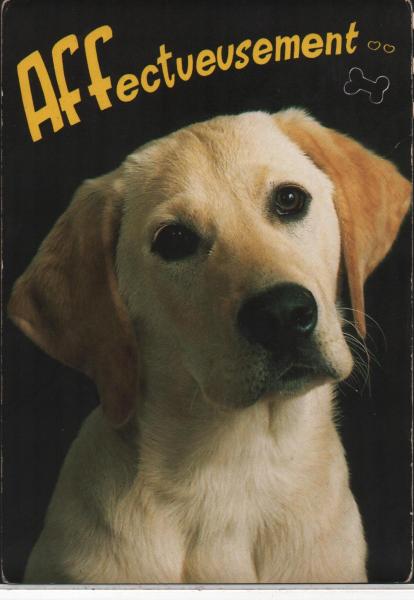 regrede c'est chien c'est belle c'est chien de moi